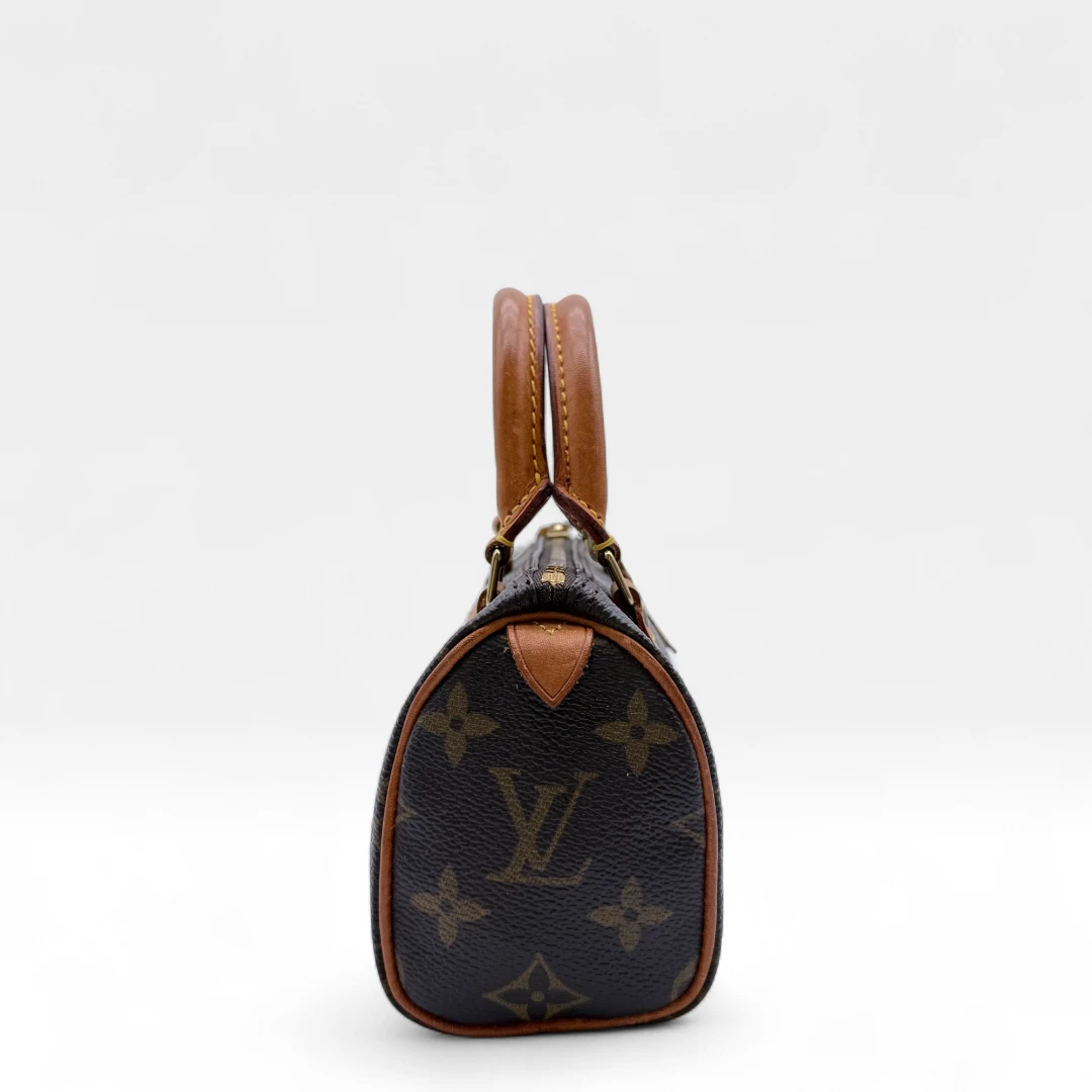 Louis Vuitton Handtasche Nano Speedy