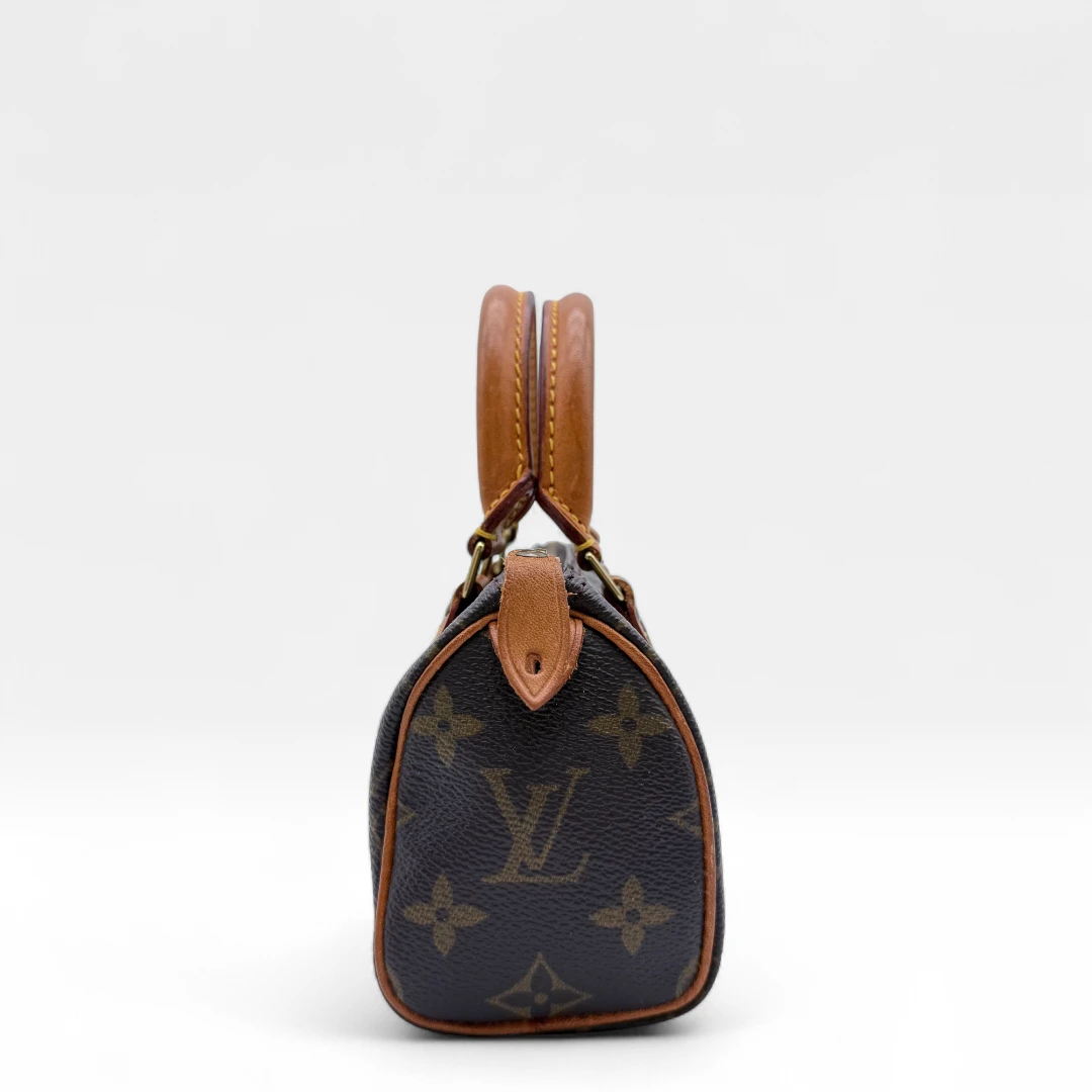 Louis Vuitton Handtasche Nano Speedy