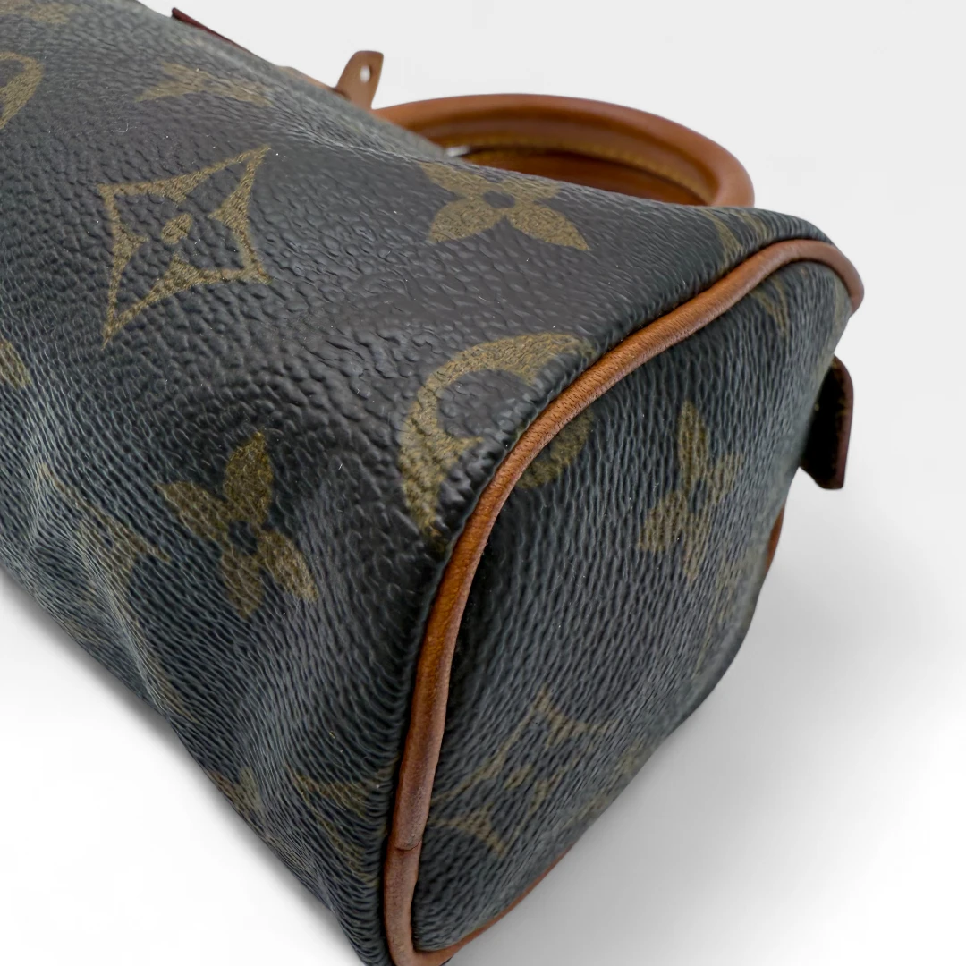 Louis Vuitton Handtasche Nano Speedy