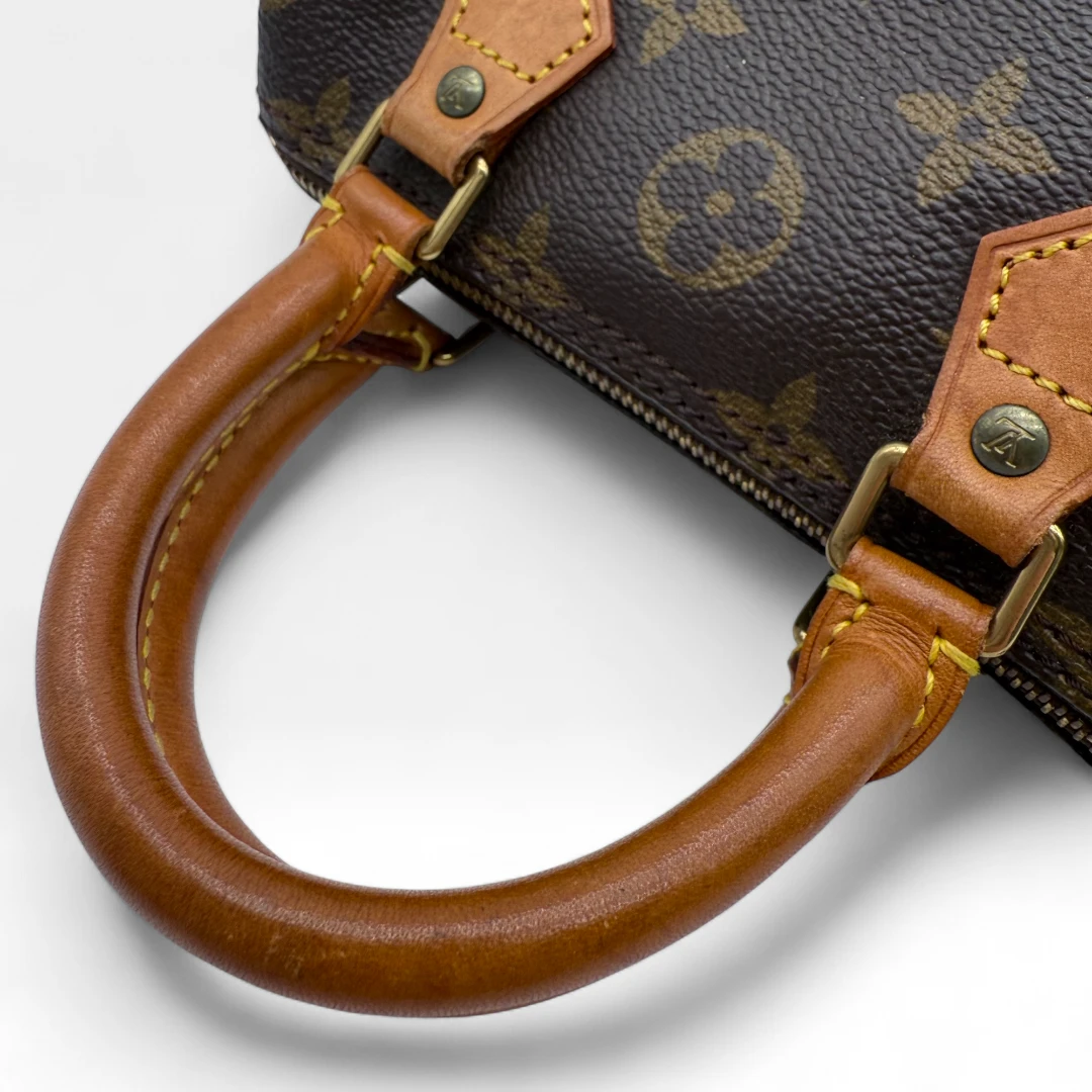 Louis Vuitton Handtasche Nano Speedy