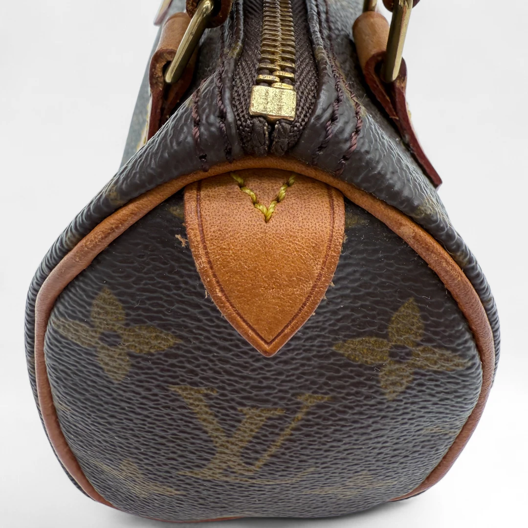 Louis Vuitton Handtasche Nano Speedy