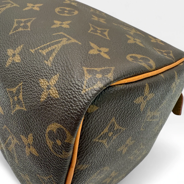 Louis Vuitton Handtasche Speedy 25