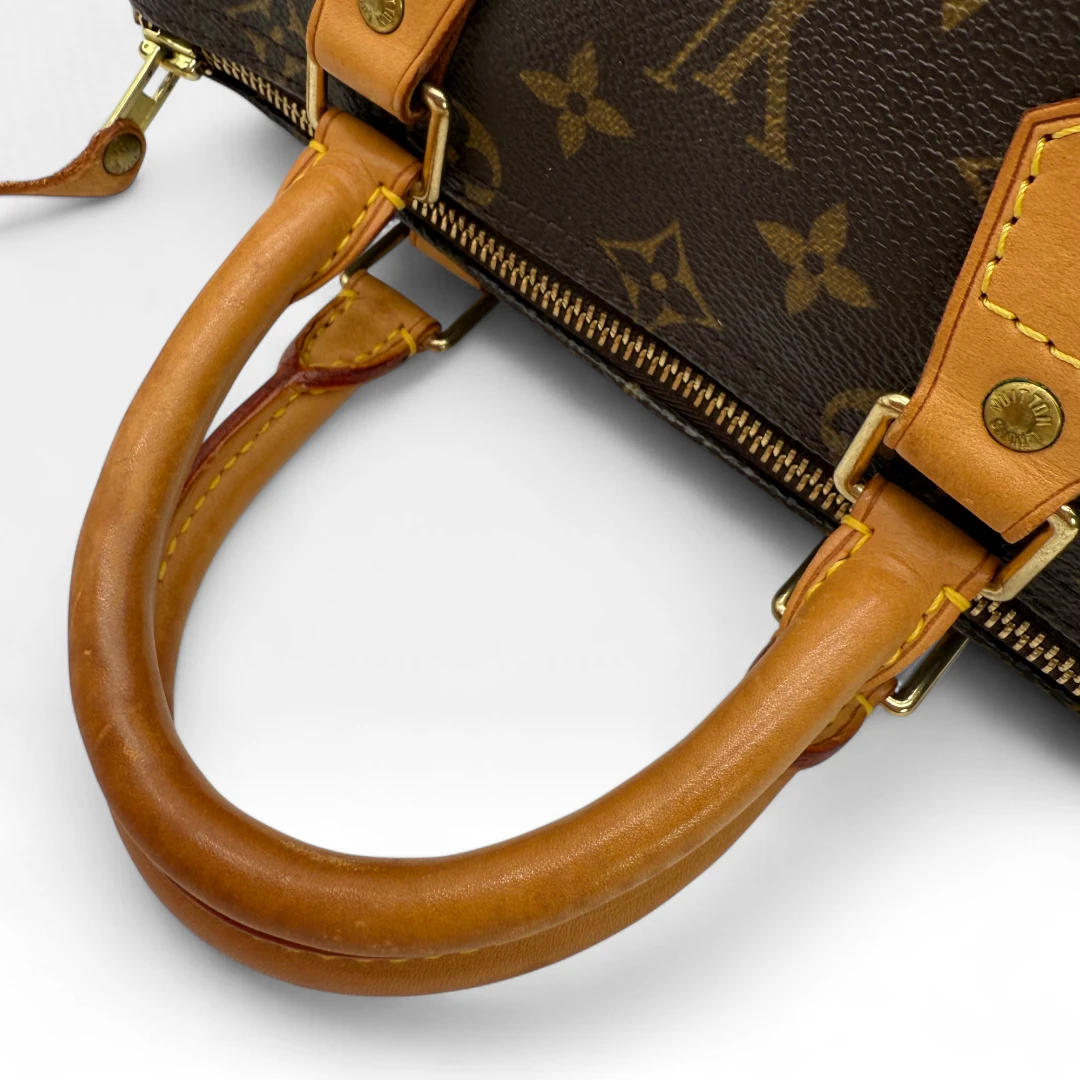 Louis Vuitton Handtasche Speedy 25