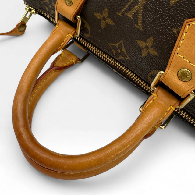 Louis Vuitton Handtasche Speedy 25