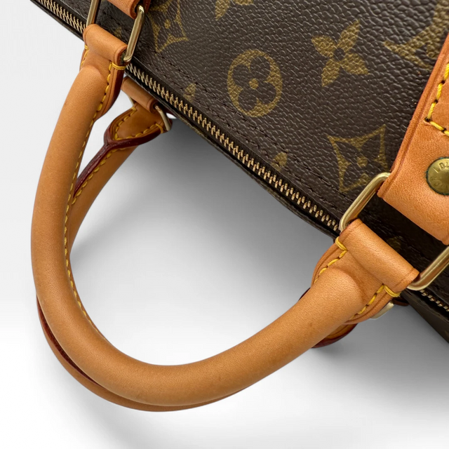 Louis Vuitton Handtasche Speedy 25