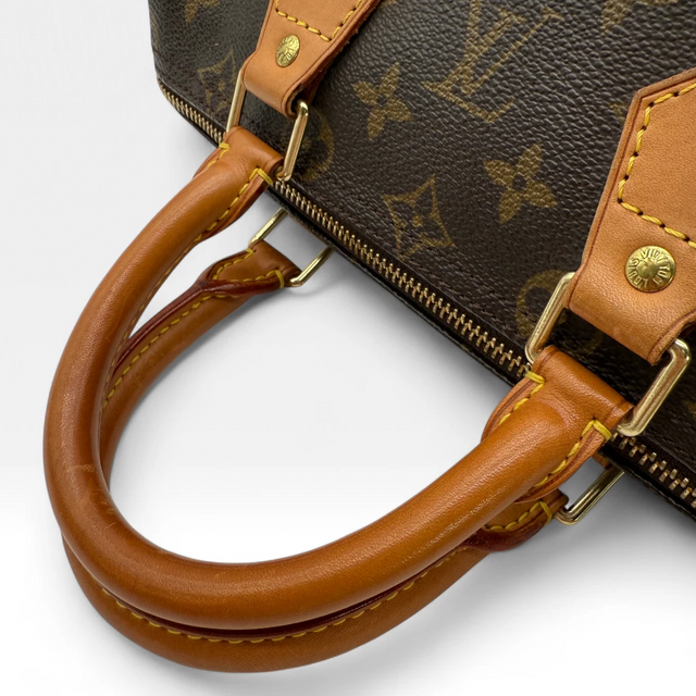 Louis Vuitton Handtasche Speedy 25