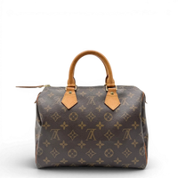 Louis Vuitton Handtasche Speedy 25