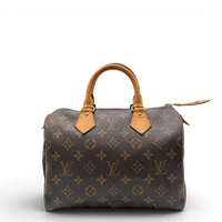Louis Vuitton Handtasche Speedy 25