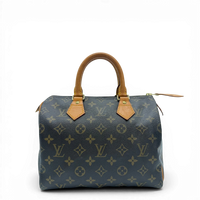 Louis Vuitton Handtasche Speedy 25