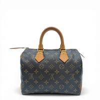 Louis Vuitton Handtasche Speedy 25