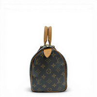 Louis Vuitton Handtasche Speedy 25