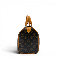 Louis Vuitton Handtasche Speedy 25