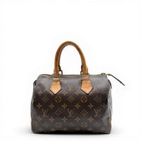 Louis Vuitton Handtasche Speedy 25