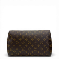 Louis Vuitton Handtasche Speedy 30