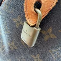 Louis Vuitton Handtasche Speedy 30