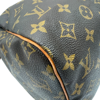 Louis Vuitton Handtasche Speedy 30
