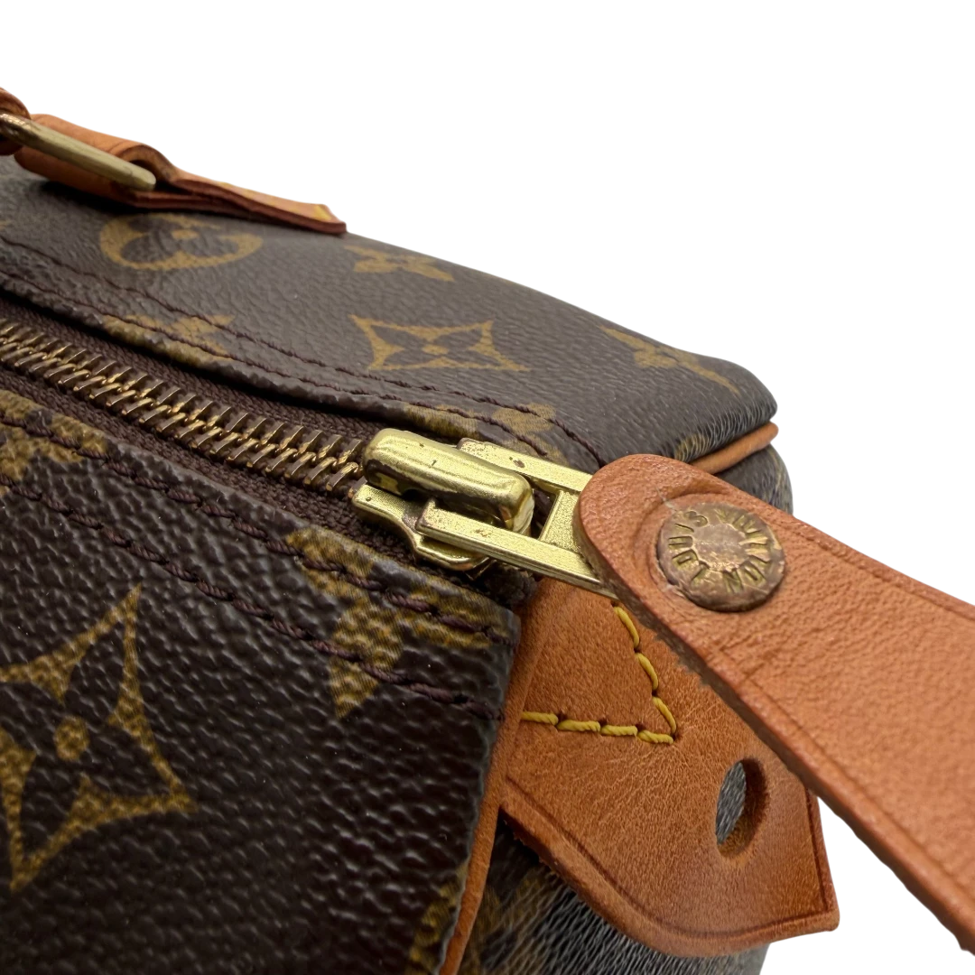 Louis Vuitton Handtasche Speedy 30