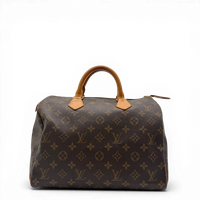 Louis Vuitton Handtasche Speedy 30