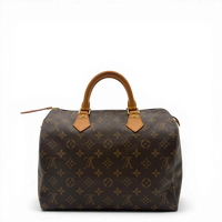 Louis Vuitton Handtasche Speedy 30