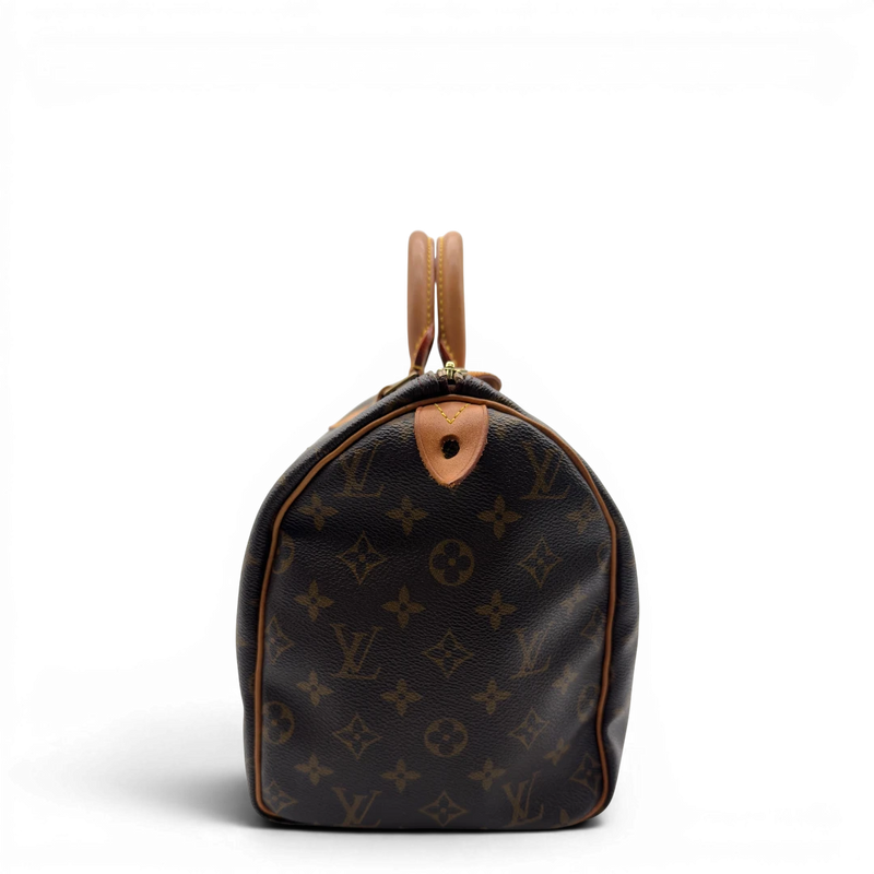 Handbag Speedy 30 Brown