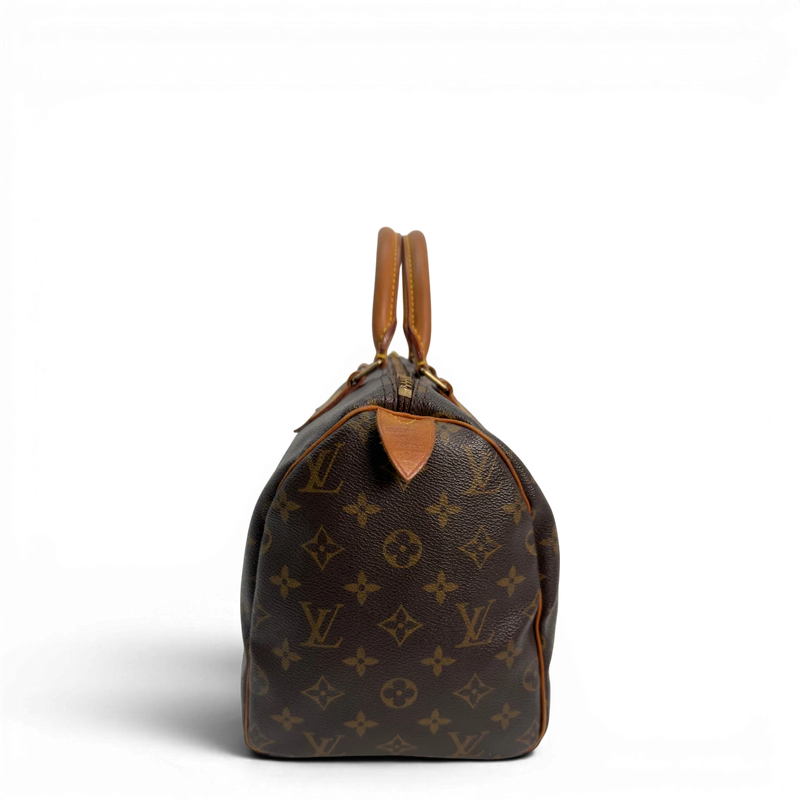 Handbag Speedy 30 Brown