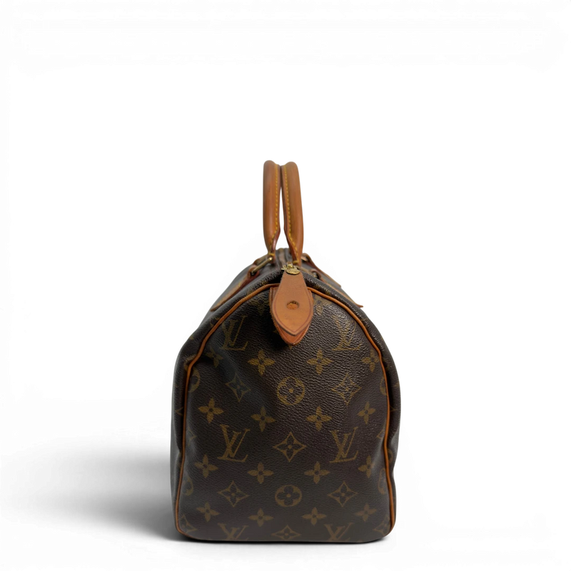 Handbag Speedy 30 Brown