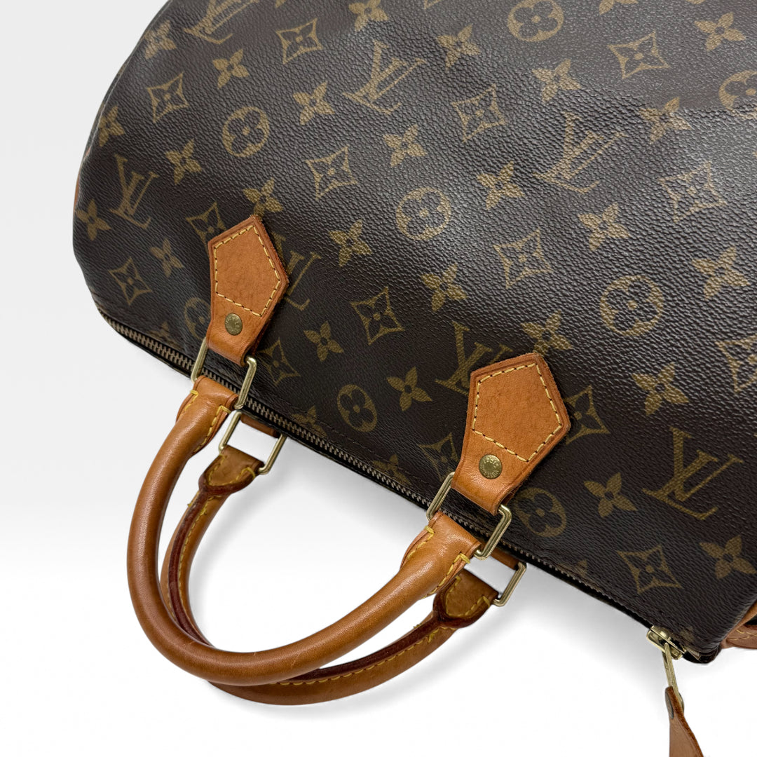 Handbag Speedy 30 Brown