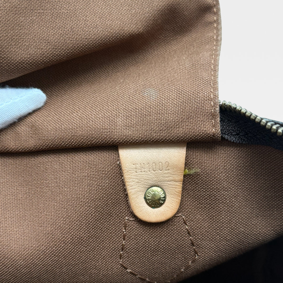 Handbag Speedy 30 Brown