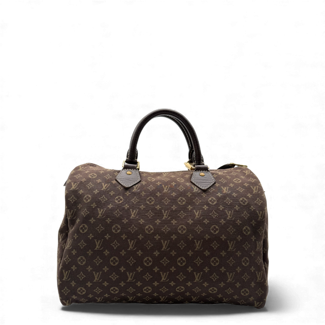 Handbag Speedy Mini Lin 30