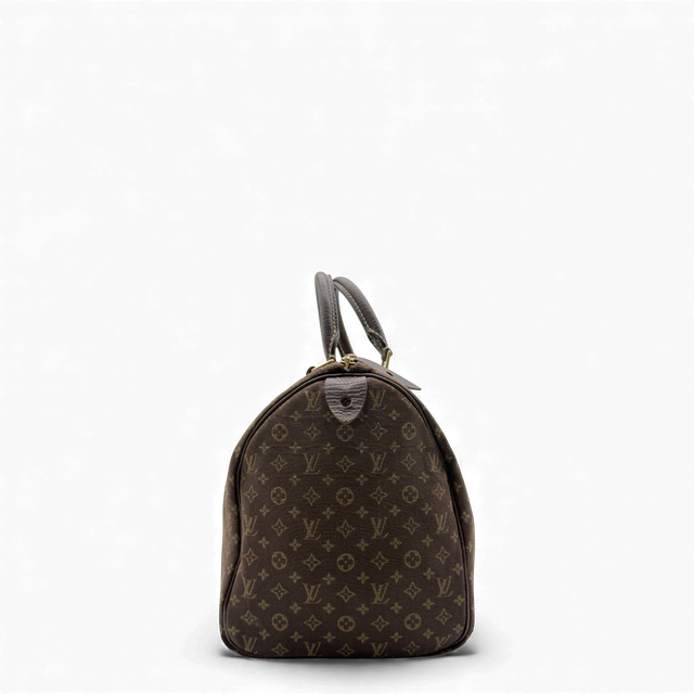 Handbag Speedy Mini Lin 30