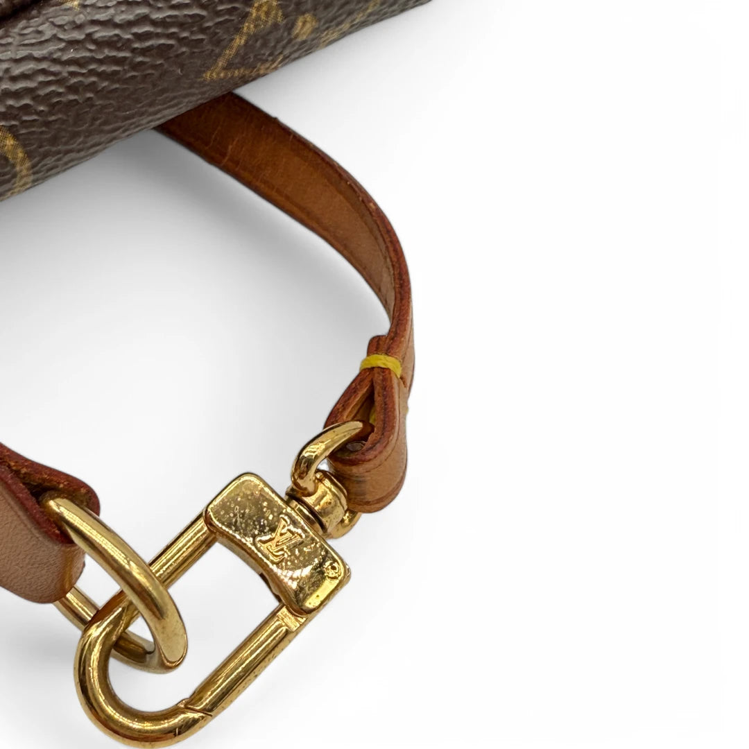 Louis Vuitton Pochette Accessories monogram brown