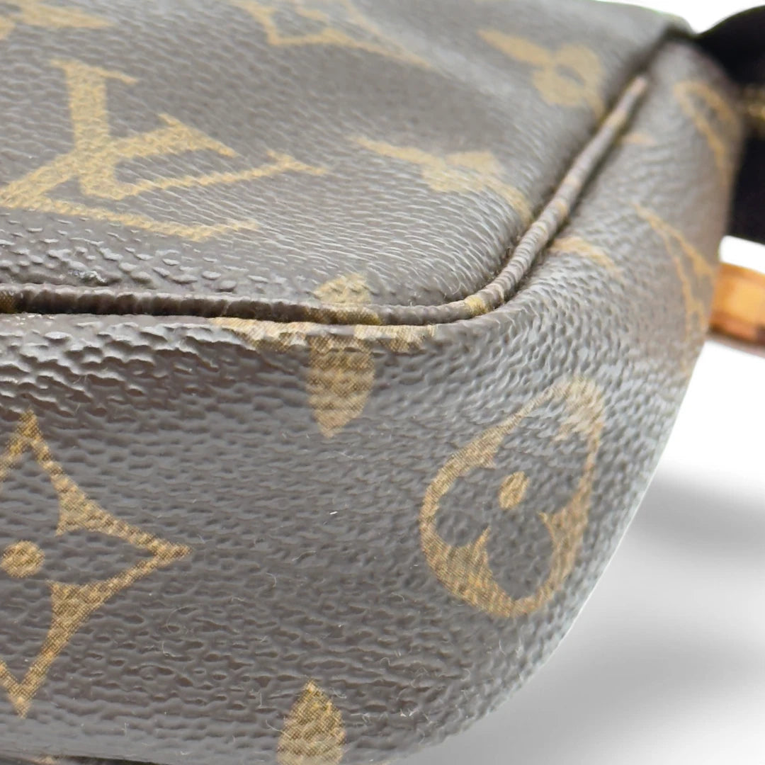 Louis Vuitton Pochette Accessoires braun