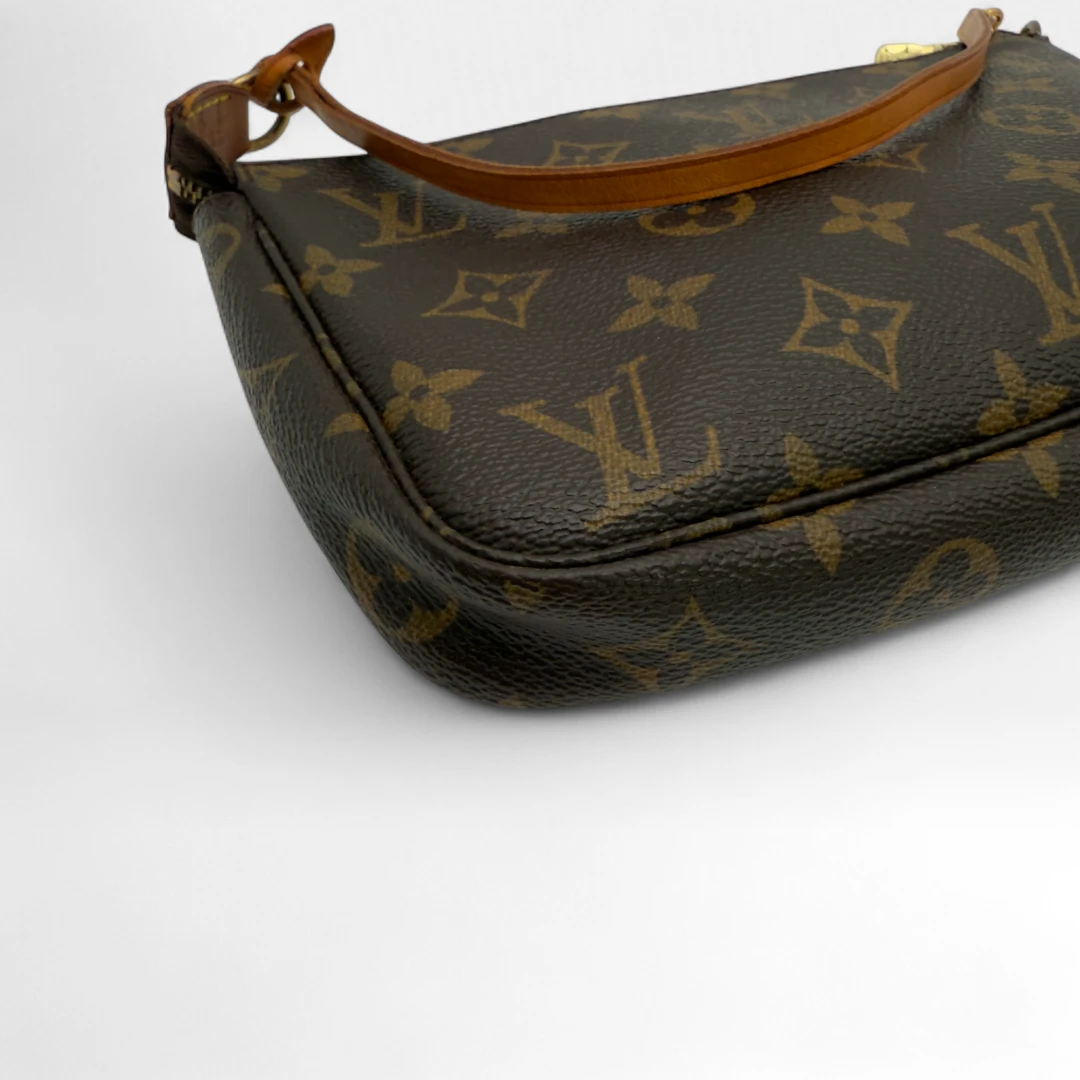 Louis Vuitton Pochette Accessoires