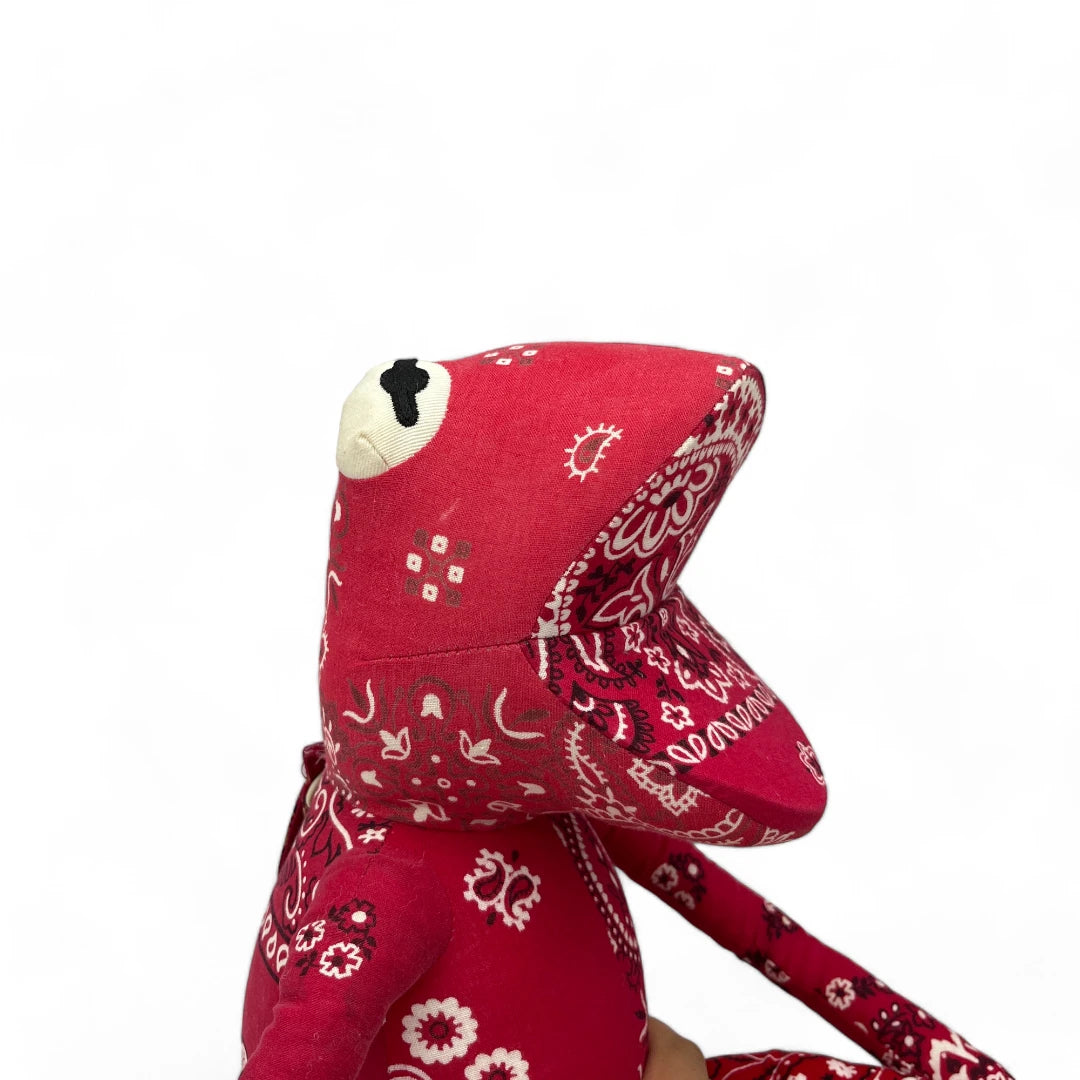 Paisley Frogman